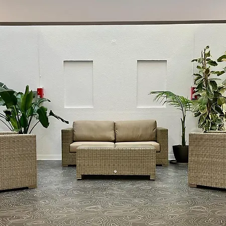 Les Cimes Du Mont Royal